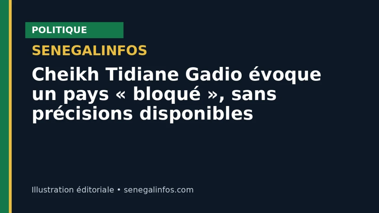 Cheikh Tidiane Gadio évoque un pays « bloqué », sans précisions disponibles