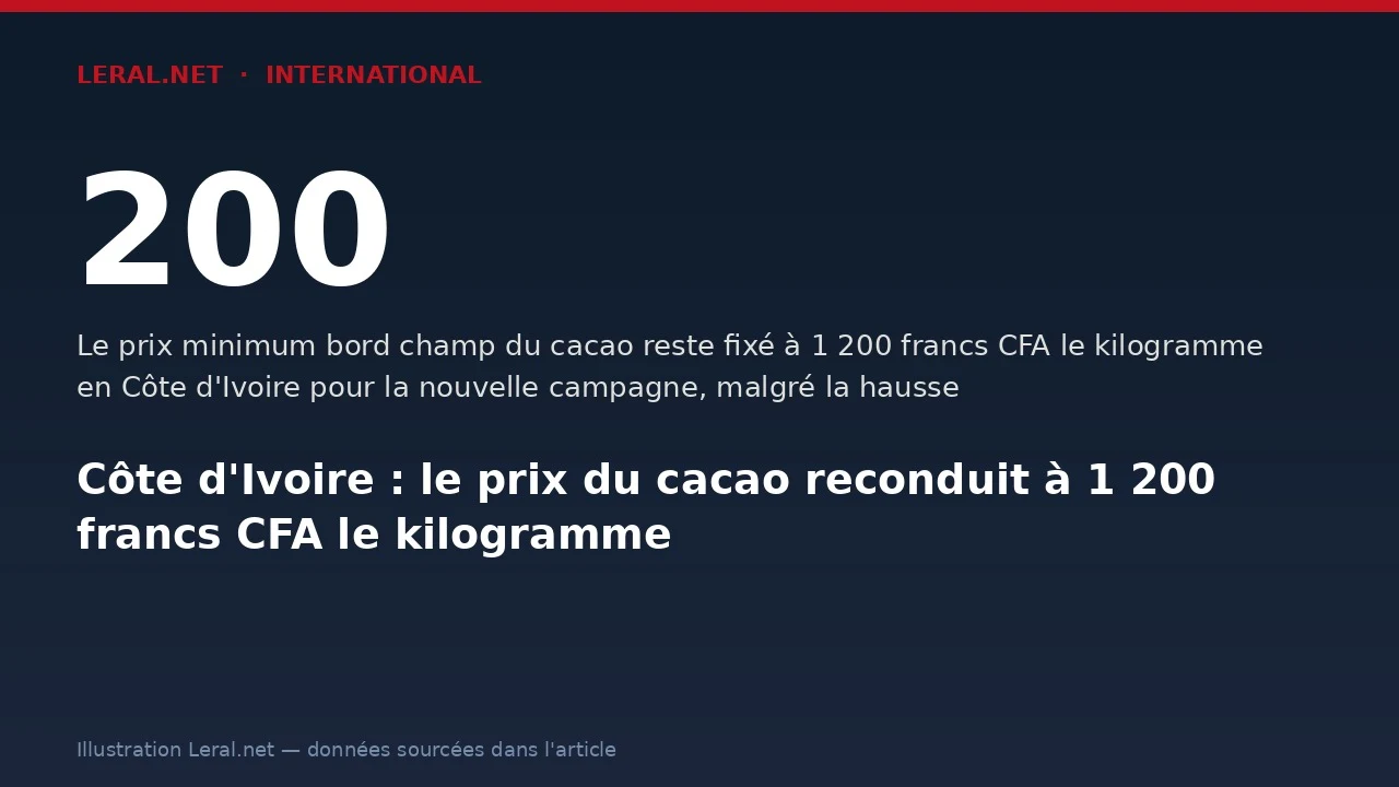 Côte d’Ivoire : le prix garanti du cacao maintenu à 1 200 FCFA le kilo