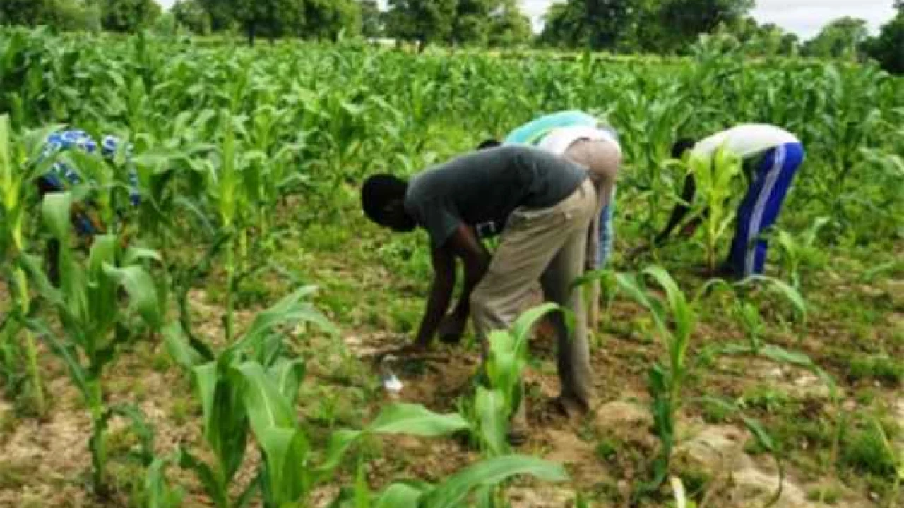 Pluies : des cumuls marqués fin août et de nouvelles précipitations attendues au Sud et au Centre