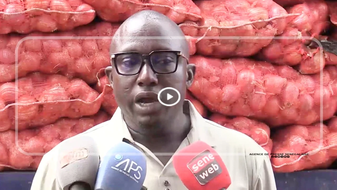 Thiès : l’UNACOIS demande cinq jours supplémentaires de fermeture du marché de l’oignon importé