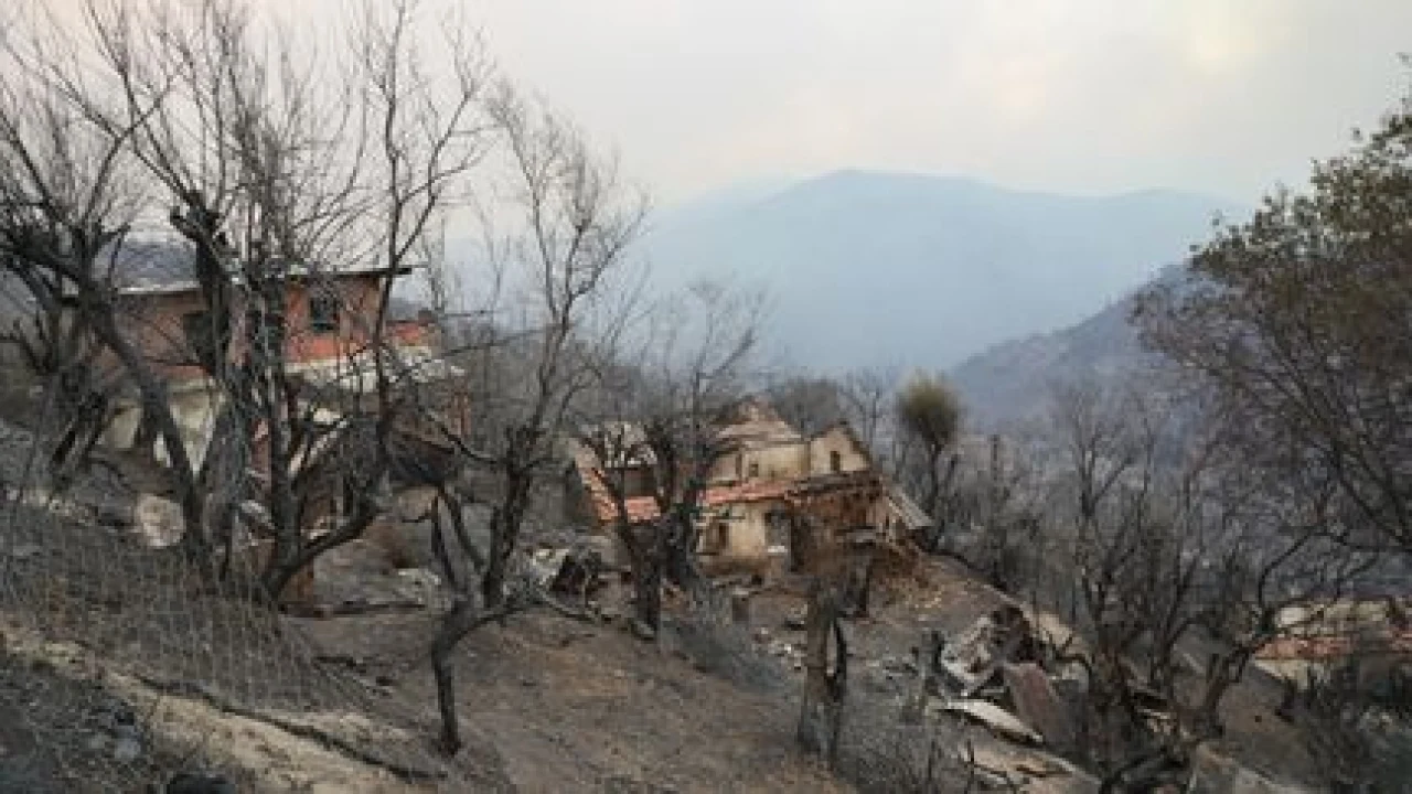 Algérie : le président Tebboune veut appliquer la peine de mort contre les pyromanes après des incendies meurtriers