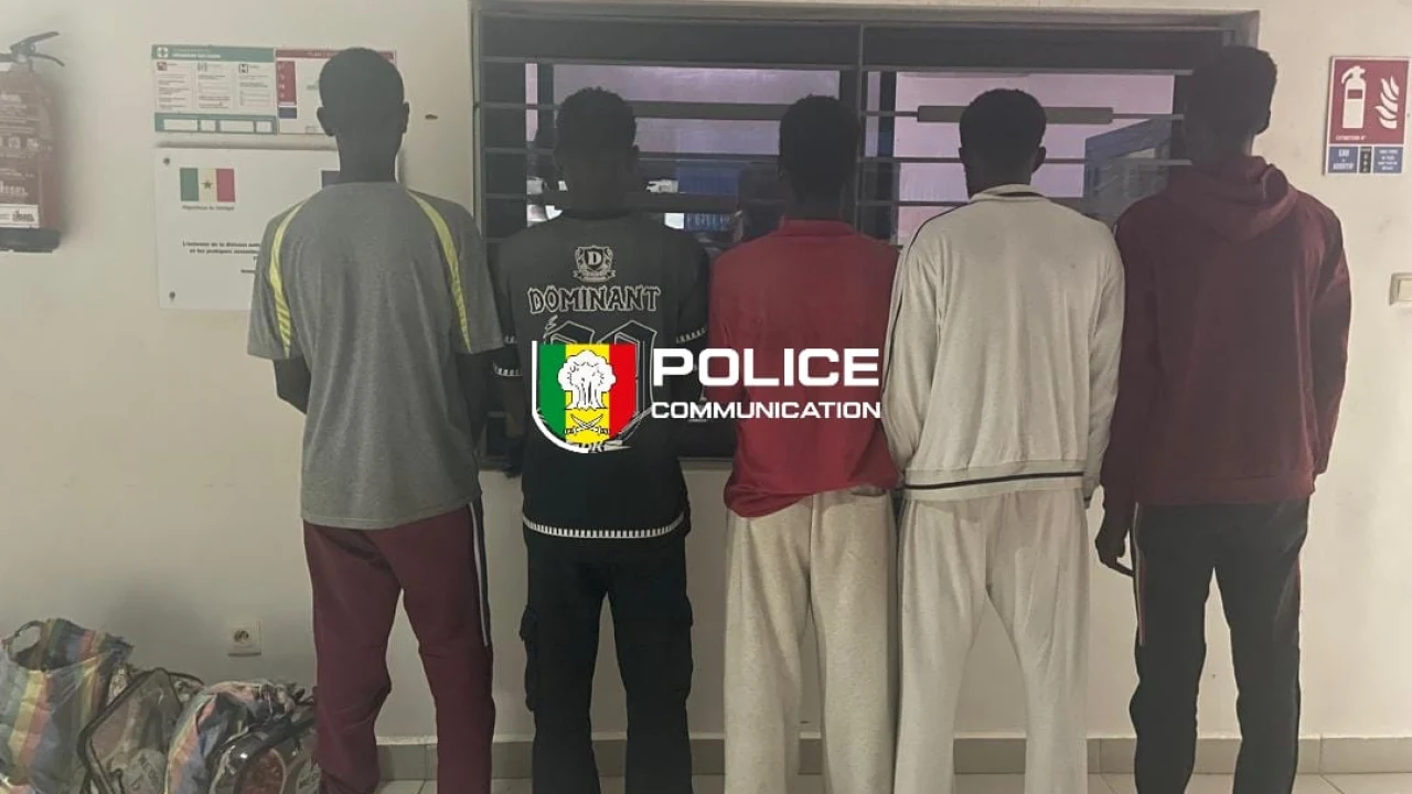 Rosso: cinco personas detenidas en un caso de tráfico de migrantes