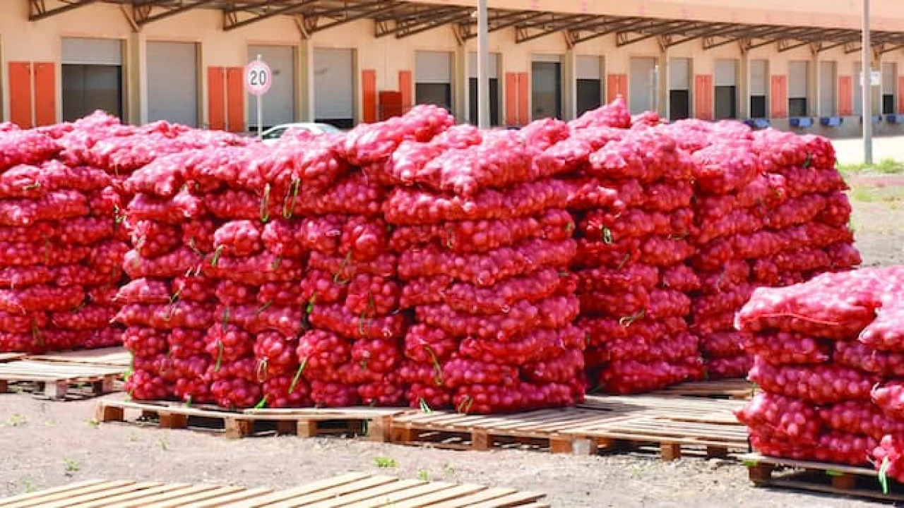 À Thiès, les producteurs relient la hausse du prix de l’oignon au coût du stockage