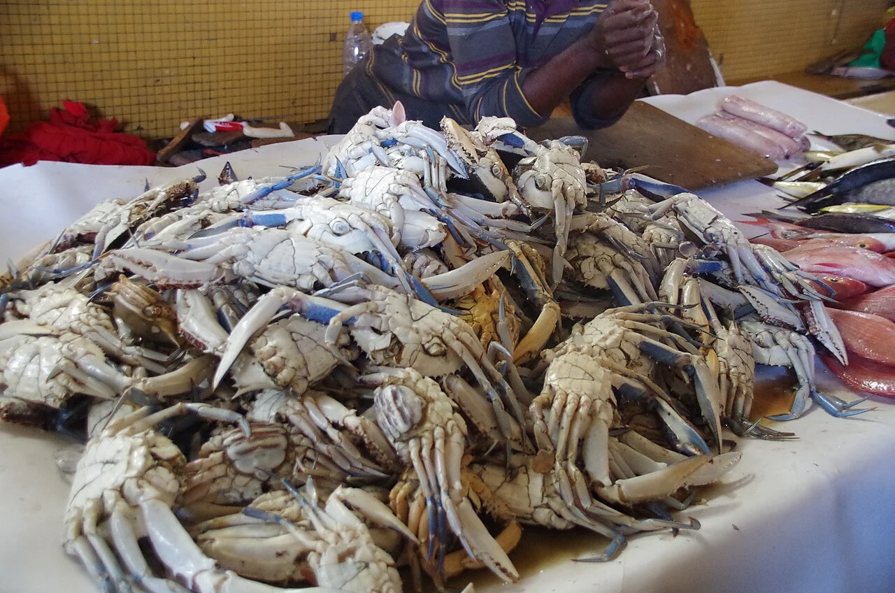 Dakar : une tonne de produits impropres à la consommation saisie, selon le service d’hygiène